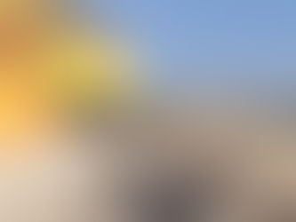 Ulu Qarabəydə düşmən kül edildi - ANBAAN VİDEO