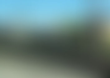 Qatarın gənc oğlanı vurub öldürməsi ilə bağlı Prokurorluğun MƏLUMATI 