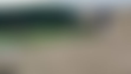 Ərəblərin Qaxdakı çadırları söküldü