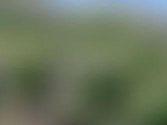 Qazaxın 7 və Naxçıvanın Kərki kəndi qaytarılacağı vaxt AÇIQLANDI