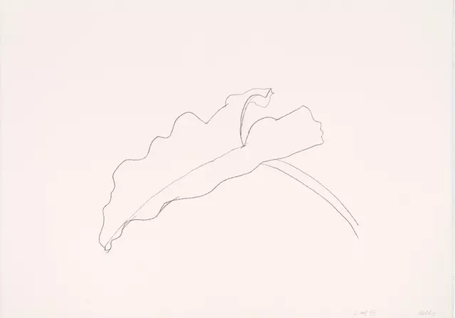 leaf VIII_Elsworth_Kelly.webp