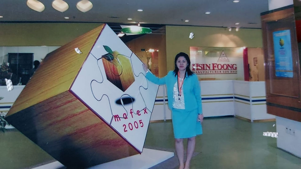 Year 2005 Malaysia International Exhibition Center - Incharge of Furniture Permanent Showrooms. 