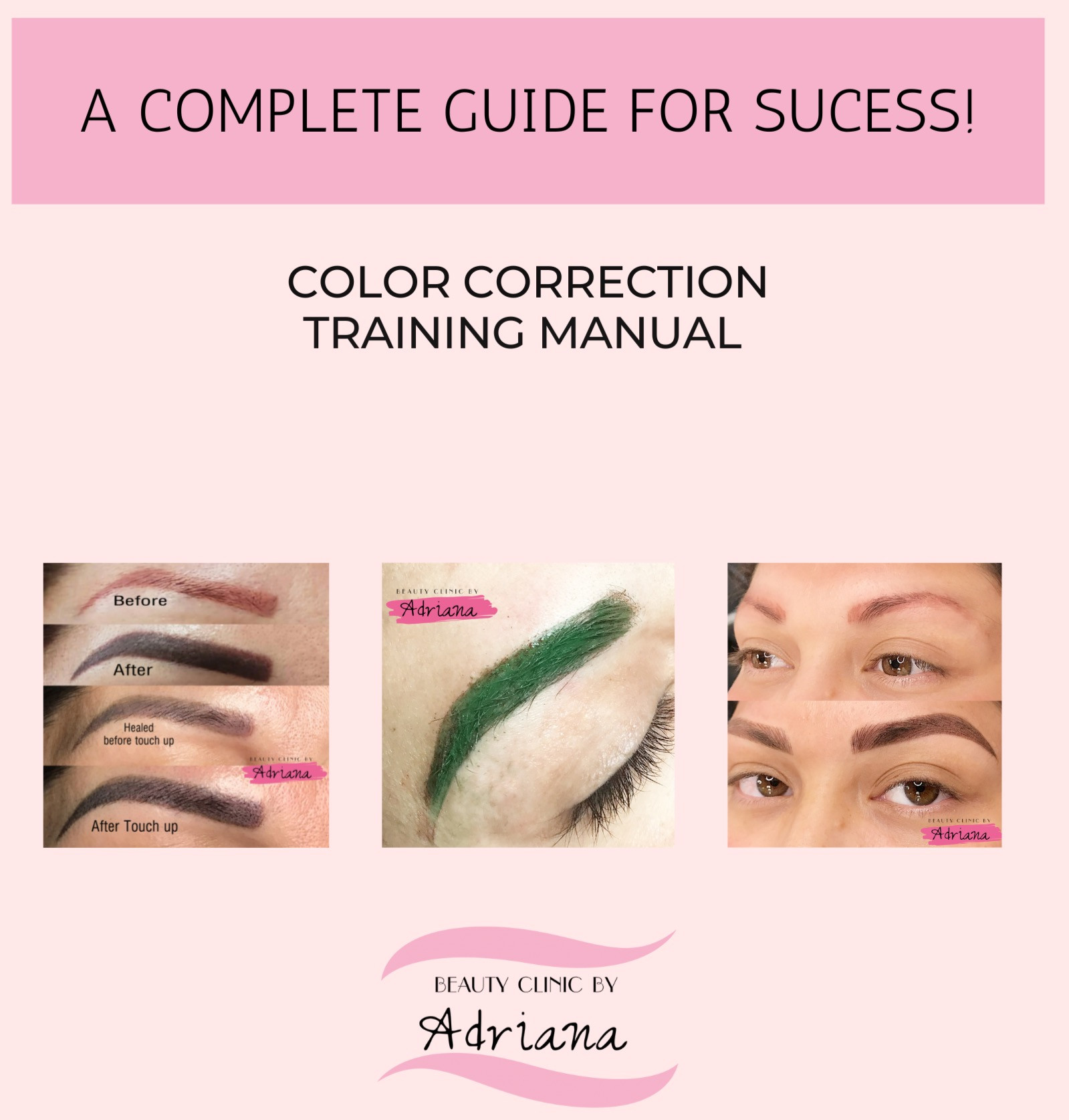 Brow Color and shape correction training manual