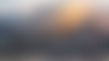 Exclusive–Ron Johnson: U.S. Airports Risk Being ‘Exploited Avenue for Illegal Immigration, Terrorism’ Under Biden