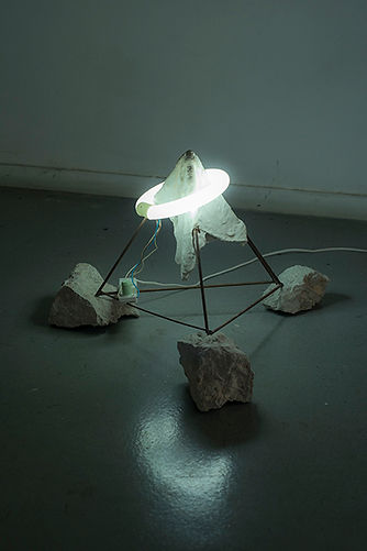 ilias sipsas mountaitrap 2014