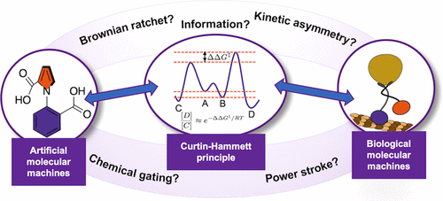 JACS 2022 Curtin Hammett TOC.gif
