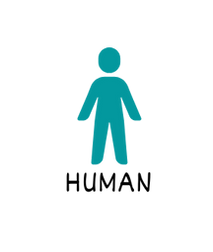 Human and org (2).png