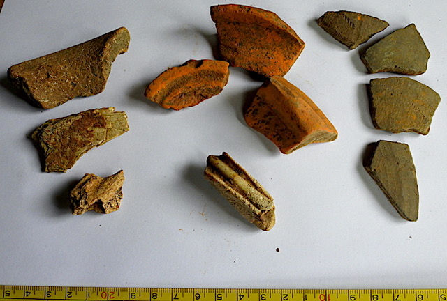 Romano British potsherds and unidentified animal bone found in Arrington