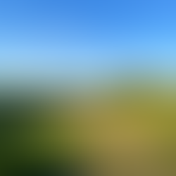 ⏱️ Tips to Speed Up Your Golf Round