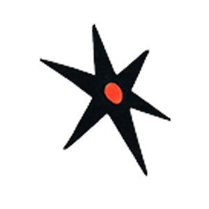 Black star asterisk symbol, decorative graphic at Holy Mountain Tattoo Asheville