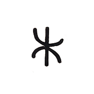 Thin asterisk symbol, decorative graphic at Holy Mountain Tattoo Asheville
