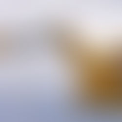 Piattaforme di lavoro elevabili (PLE)