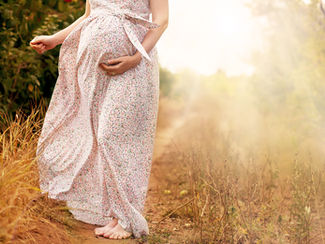 The pilgrimage of pregnancy