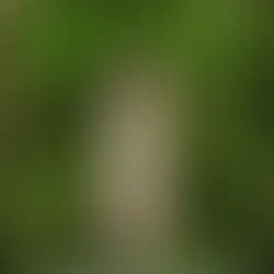 How POSHAN Is Redefining Indian Skincare Through Culture, Science, and Exceptional Branding