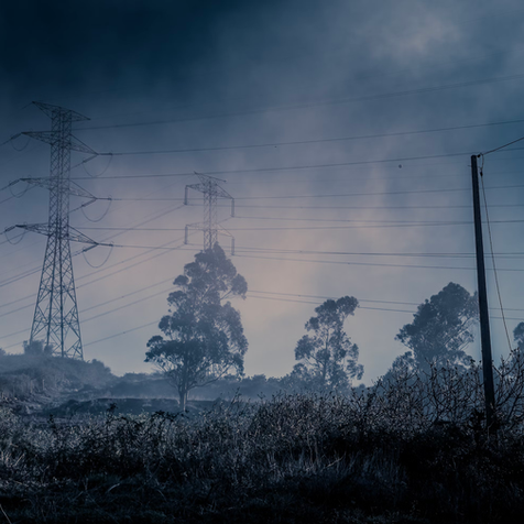 Tech and trees: 3 startups using AI to prevent wildfires by targeting utilities and vegetation
