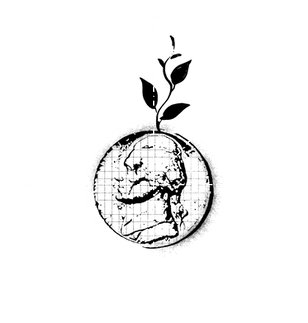 Aspiration7.png