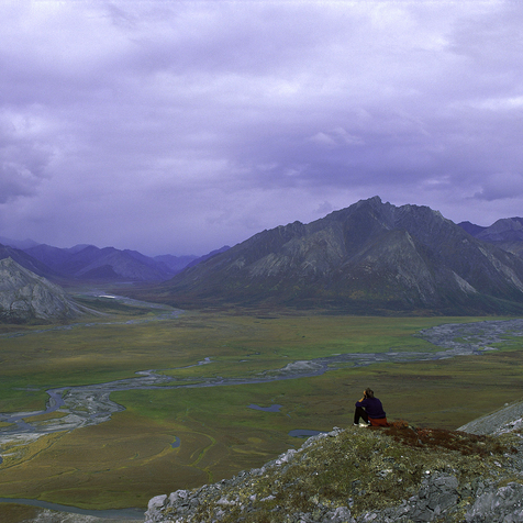 After 35-year battle, Biden cancels all remaining oil and gas drilling leases in the Alaskan Arctic