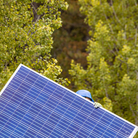 Investment in renewable tech set to reach nearly $8 billion in 2021