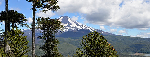 conguillio-national-park-710571_960_720.