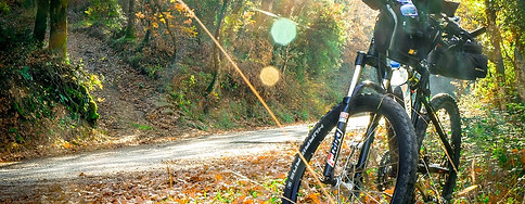 cycling-2846201_960_720.jpg