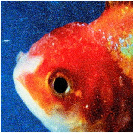 ree