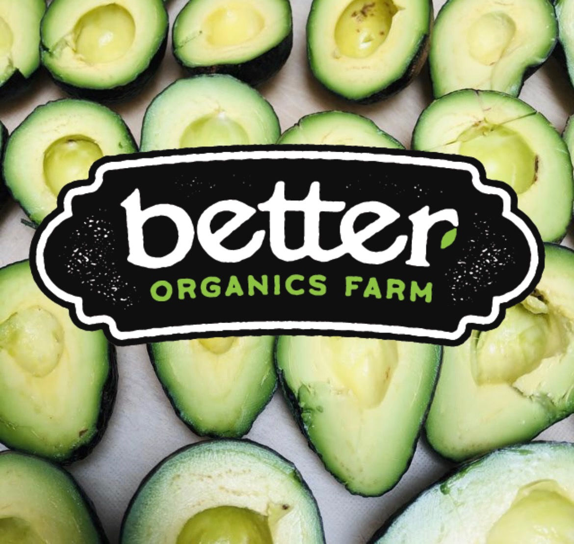 Organic Hass Avocados