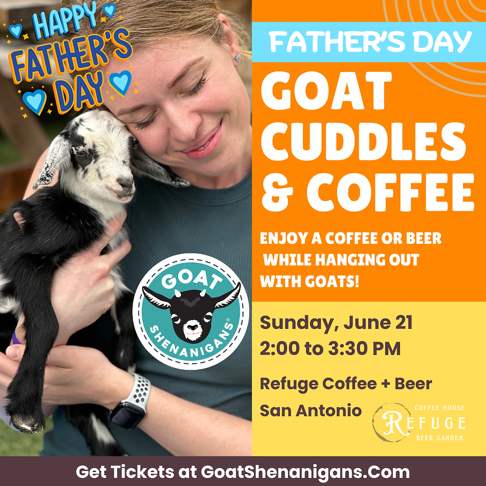 Father's Day Goat Cuddles and Coffee | San Antonio (Refuge Coffee + Beer)