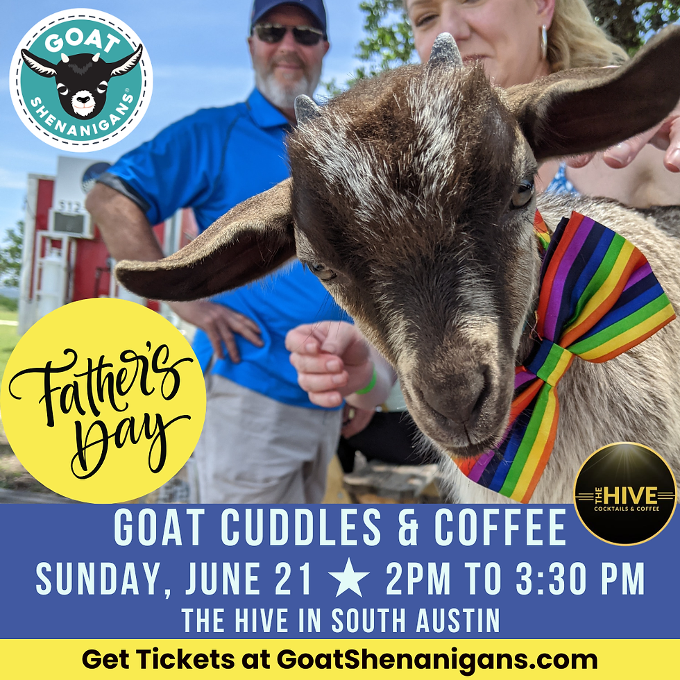 Father's Day Goat Cuddles and Coffee | Austin (The Hive)