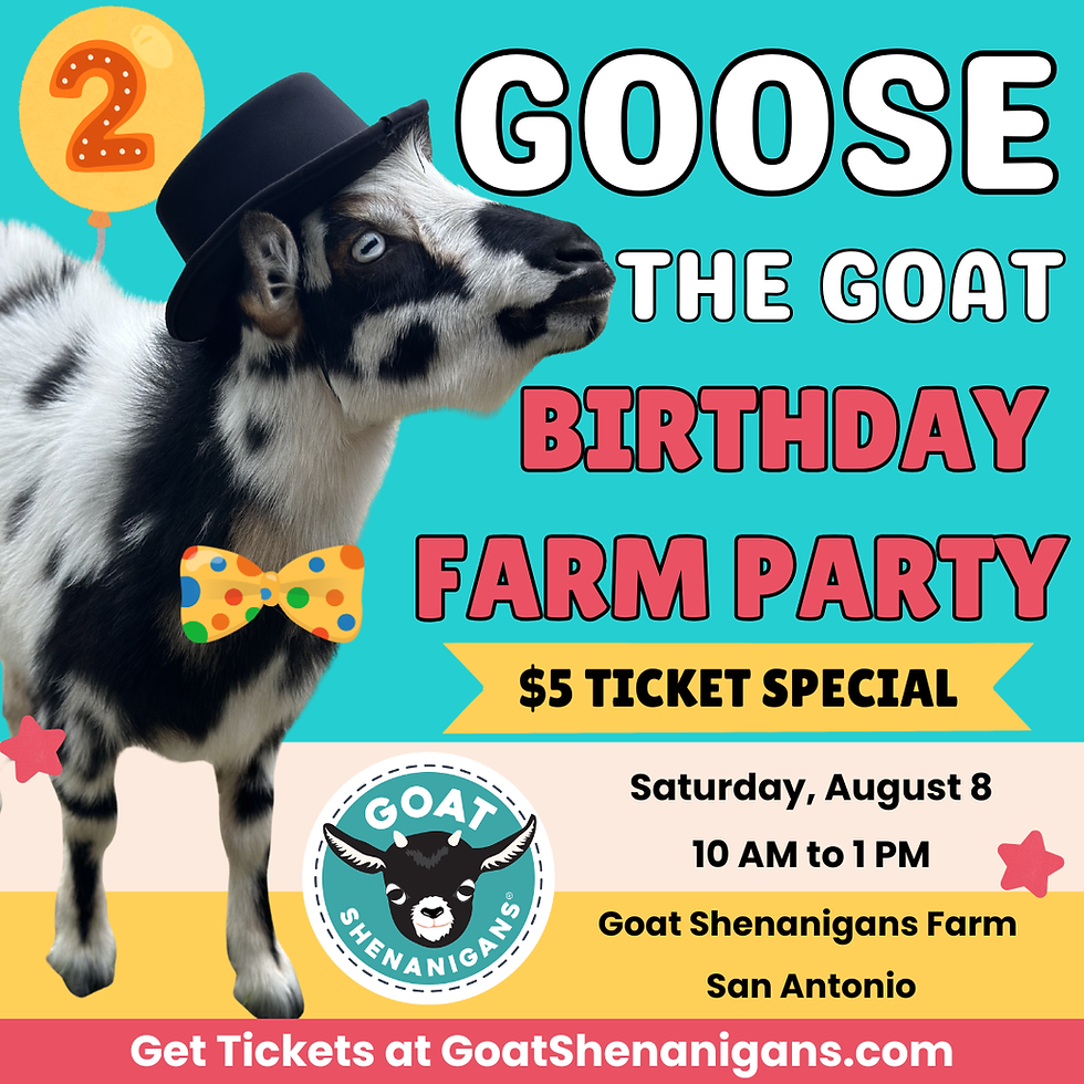 Goose the Goat Birthday Farm Party
