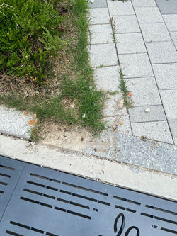 보도블럭_보도블록_(주)광장씨엔씨_안성_홍화하브 아파트