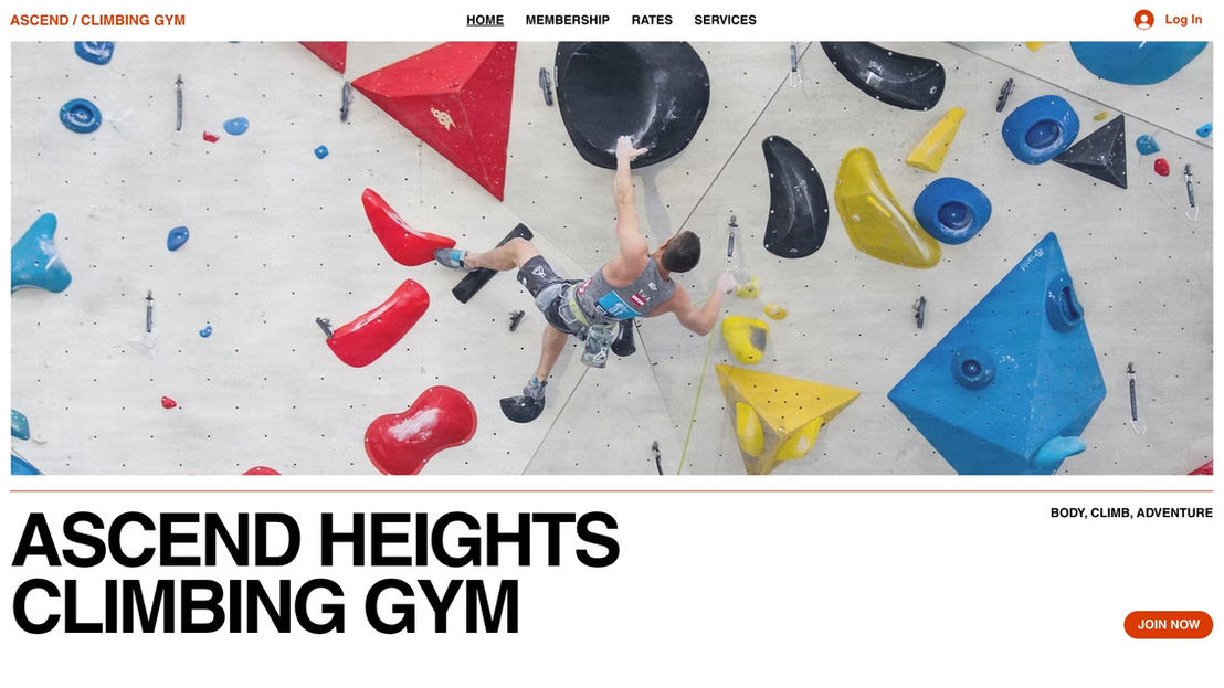 screenshot of demo site - Climbing Gym