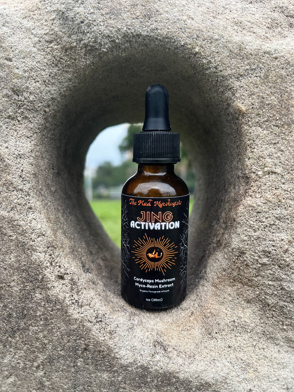 Küçük resim: JING ACTIVATION: Organic Cordyceps Mushroom Extract