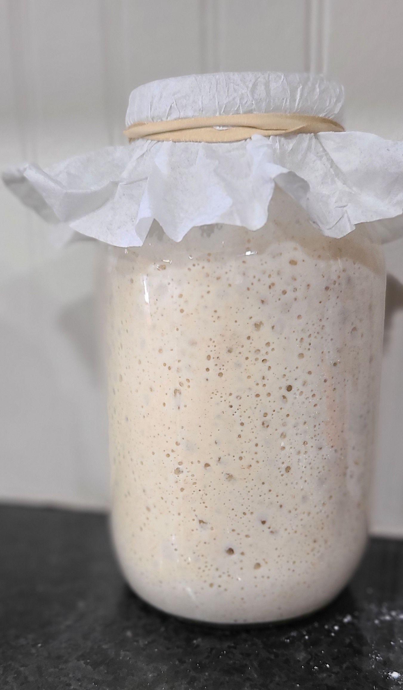 Dehydrated Sour Dough Starter