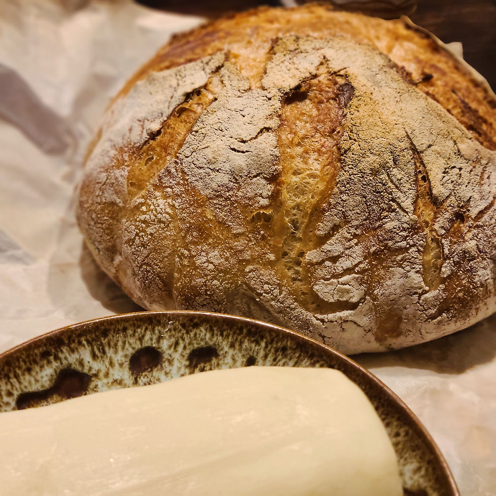 Thumbnail: Dehydrated Sour Dough Starter