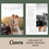 Miniaturbild: WeddingGuide - Canva Vorlage