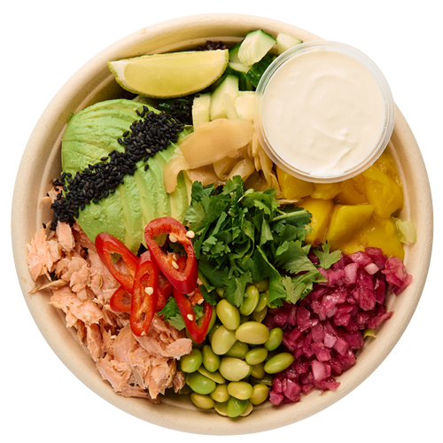 Mega Salmon Bowl