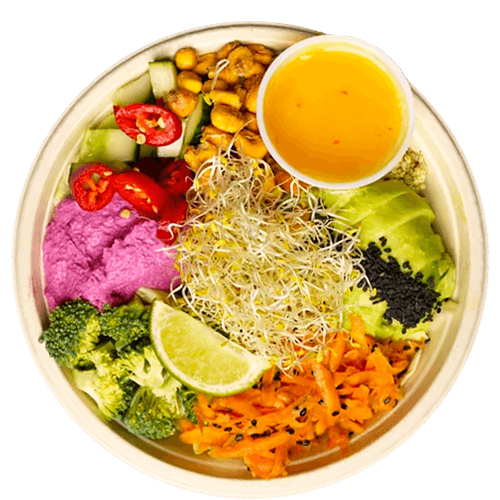 The Vegan Bowl