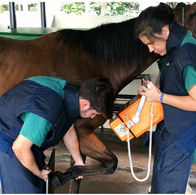 ultra veterinario uberlandia