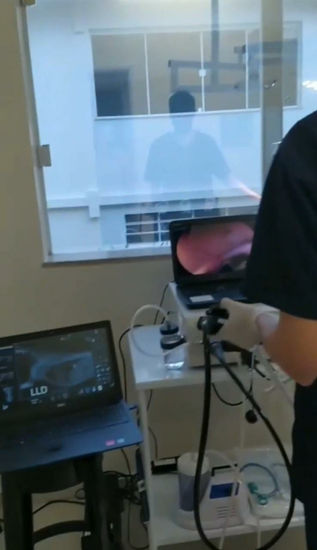 rx veterinario uberlandia