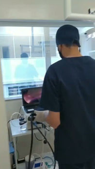 raiox veterinario uberlandia