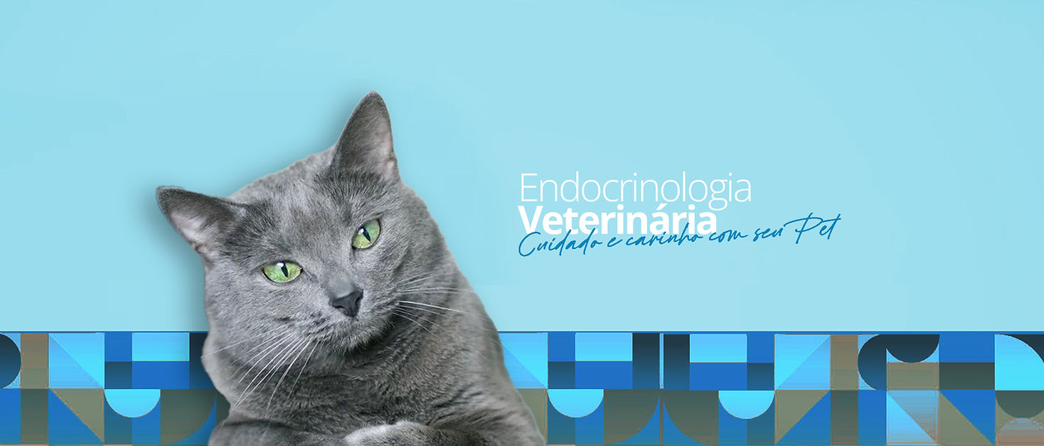 banner11_endocri.jpg
