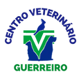 LOGOGUERREIRO_3x_.png