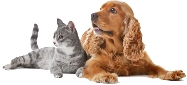 servicos_endocrinocare.png