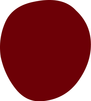 drôlesdedames.png