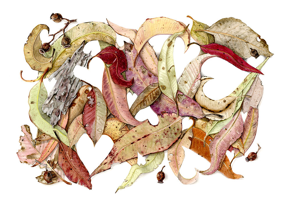 A Lovely Collection of Leaves