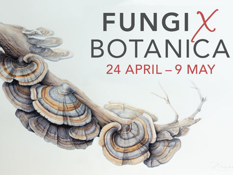 April 2021 Exhibitions!