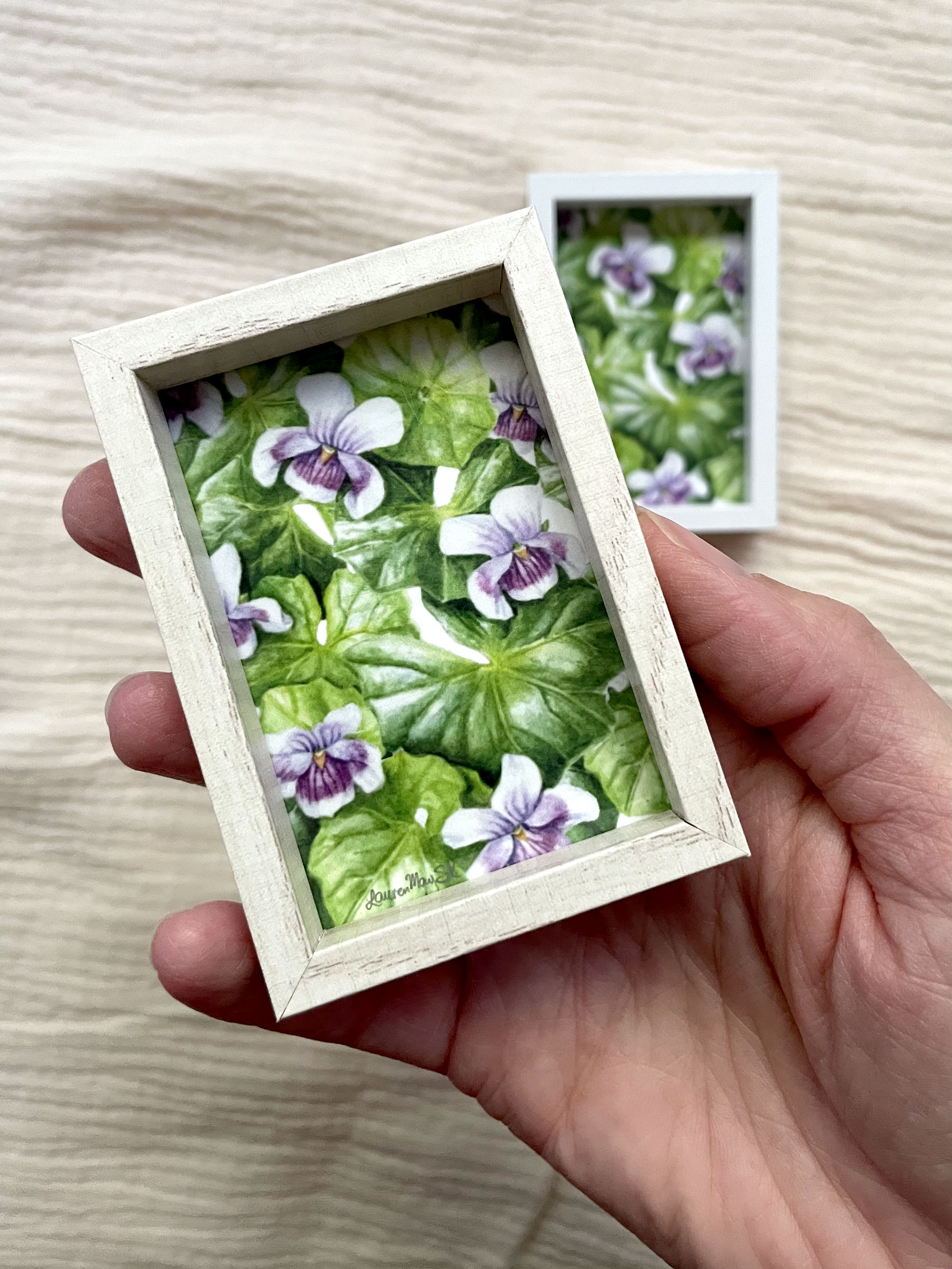 'Native Violet study' framed mini print