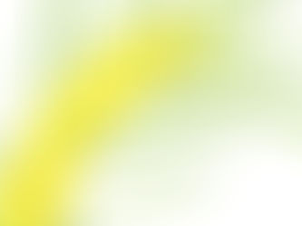 A watercolour painting of wattle by Lauren May SK