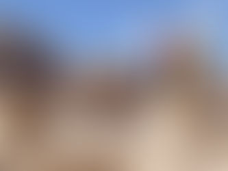 Archaeological Illustration