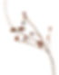 gumnut lines web.jpg